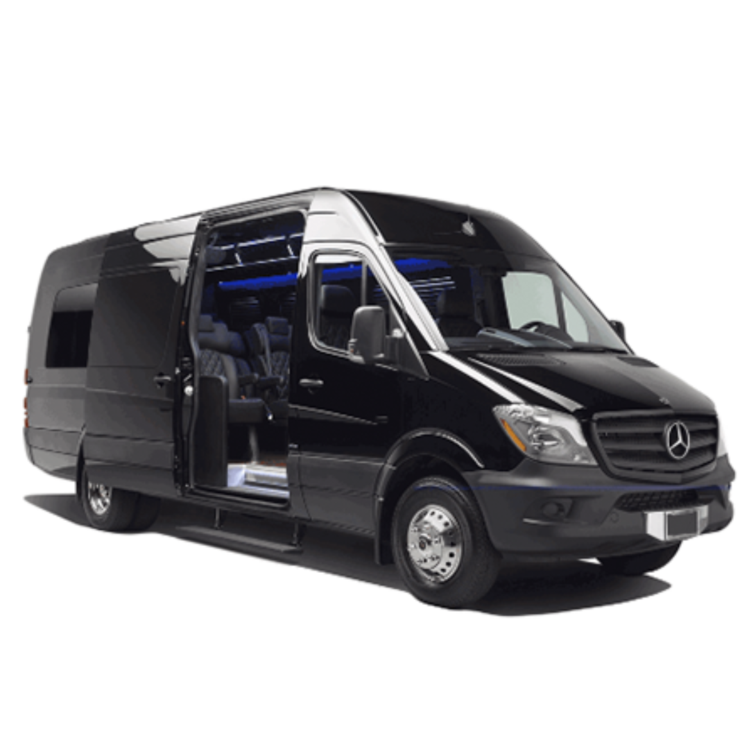Executive Mercedes Sprinter